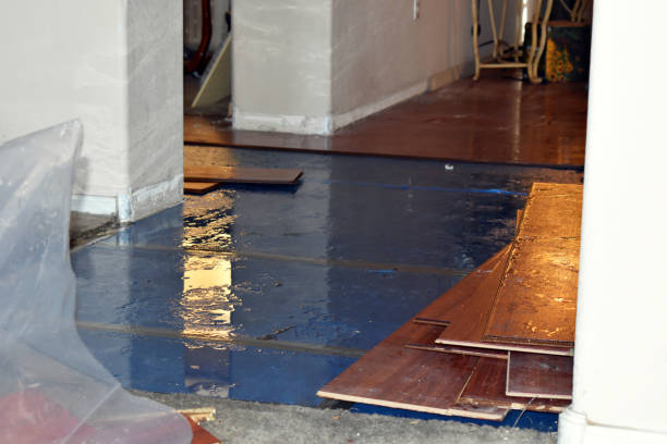 Professional Sewage Cleanup technician working in Olin, NC